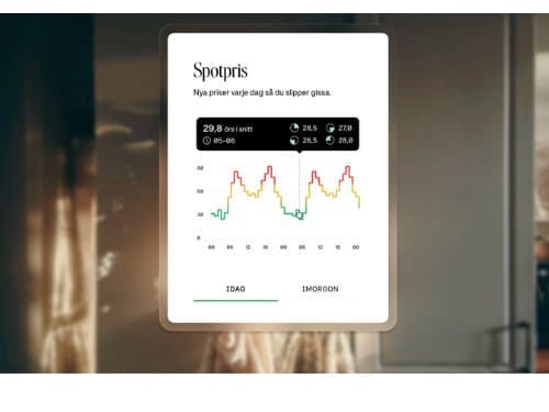 Smart elavtal för 69 kr/mån – utan bindningstid + få en realtidsmätare utan kostnad!